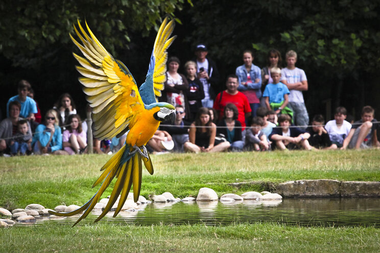 Parc animalier de Branféré