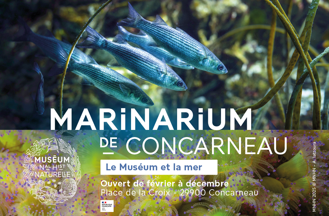 Le Marinarium