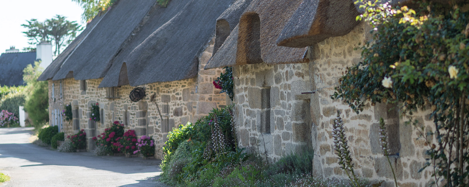 A main street bordered by lovely thatched houses! 