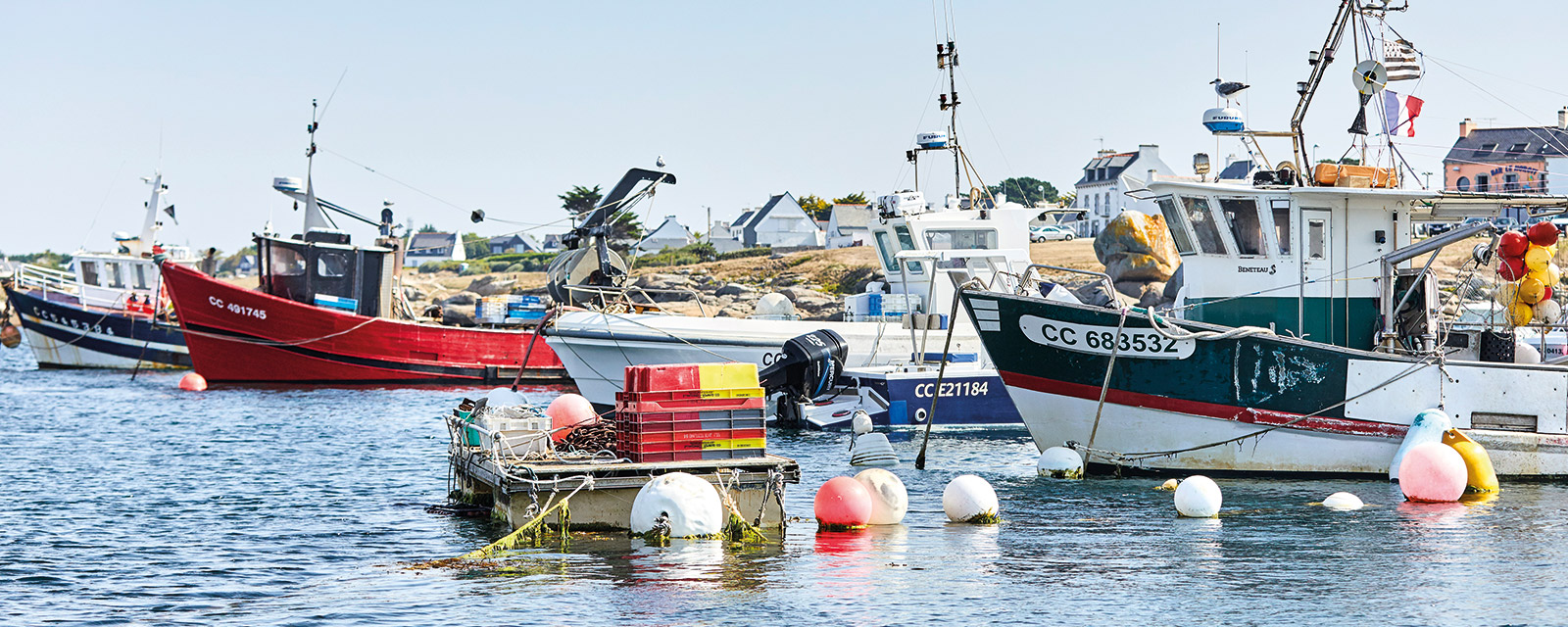 Vente De Poisson En Direct Du Bateau La Rochelle