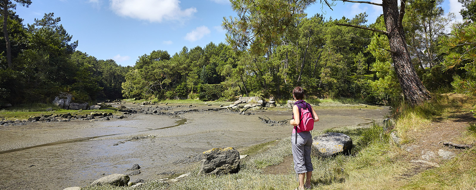 At low tide, some signs remind us of the past 