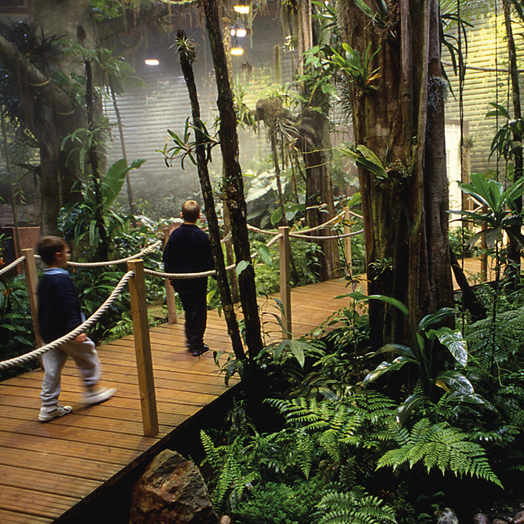 Parcs de découverte