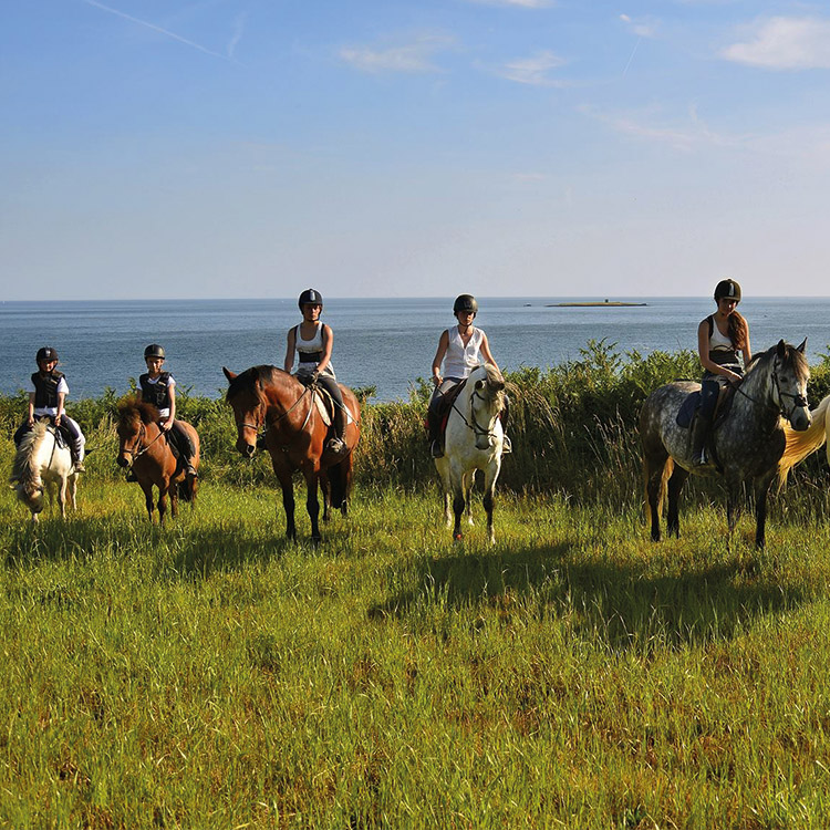 Activités de plein air