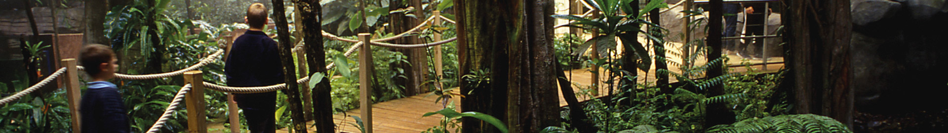 Parcs de découverte