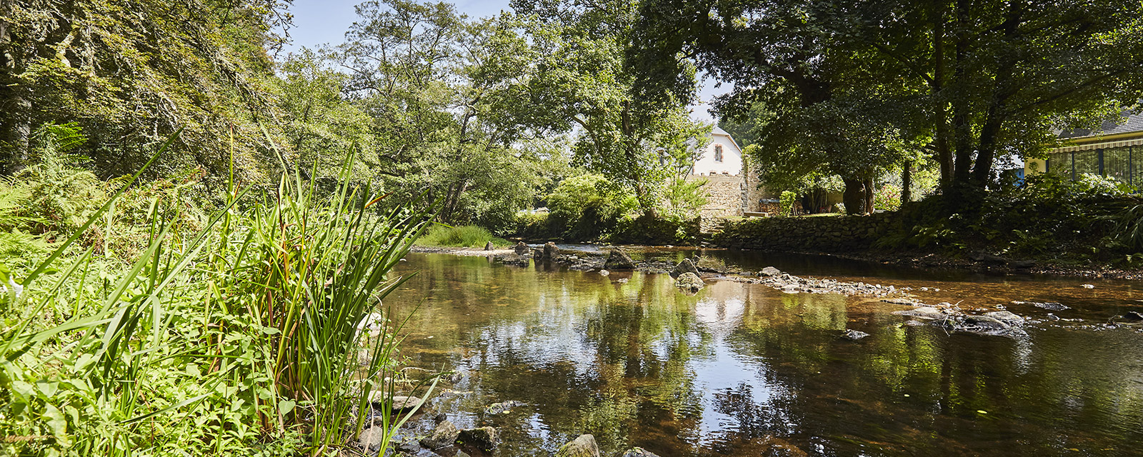 The "Bois d'Amour", inspiration for painters