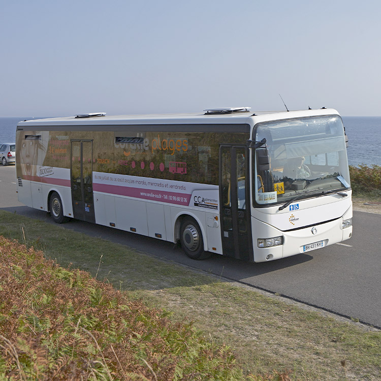 Access and transport