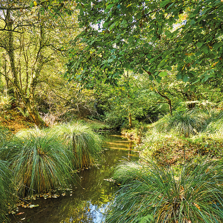 Locations pleine nature
