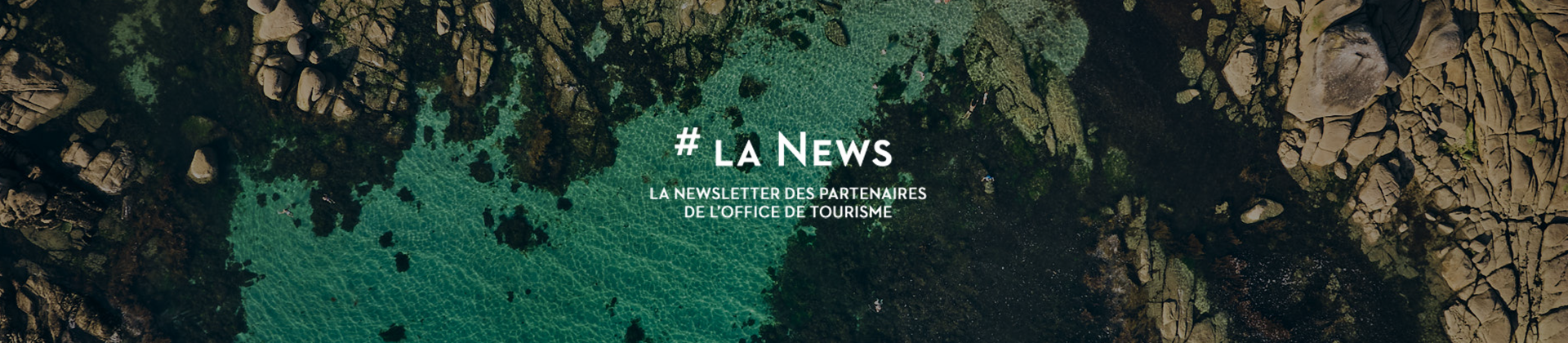 La newsletter des partenaires