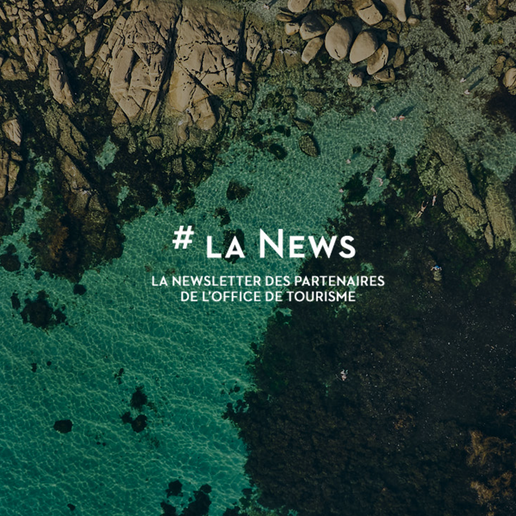 La newsletter des partenaires