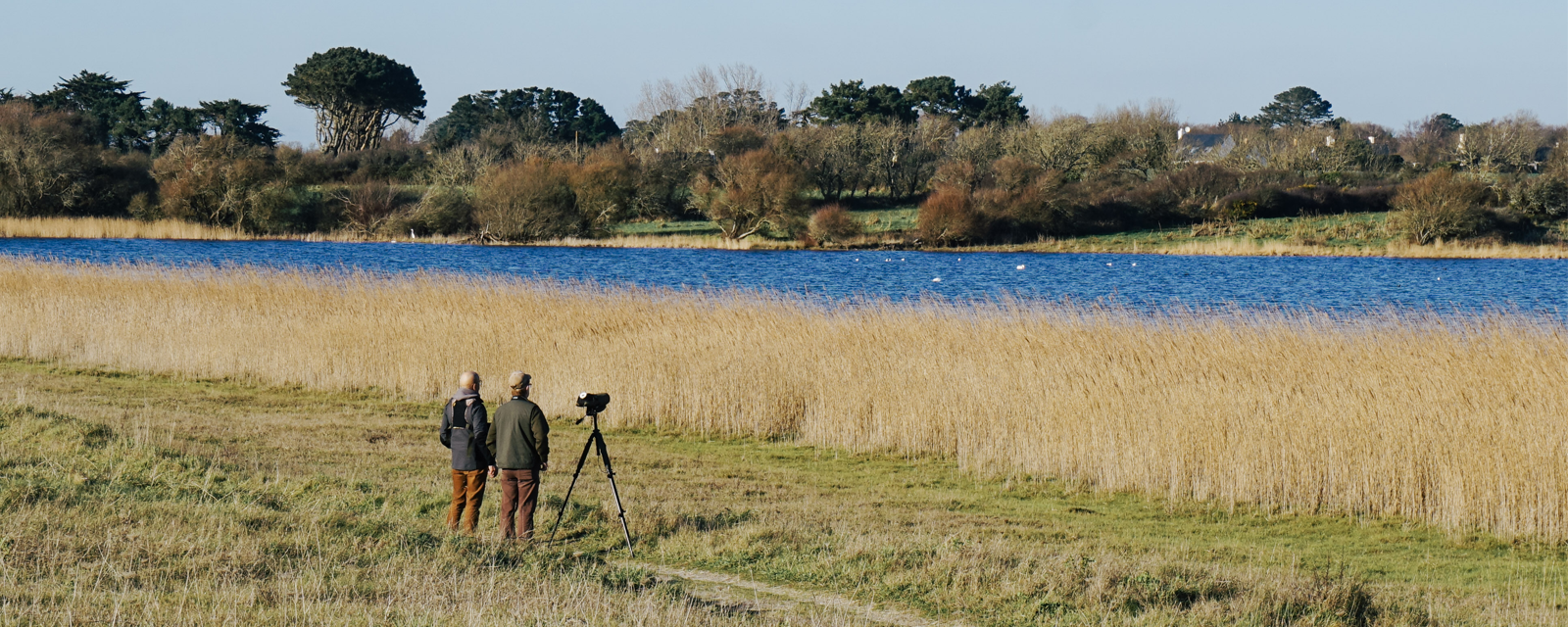 les étangs de Trévignon à Trégunc - Reserve naturelle - Site Natura 2000 - Finistère, Bretagne