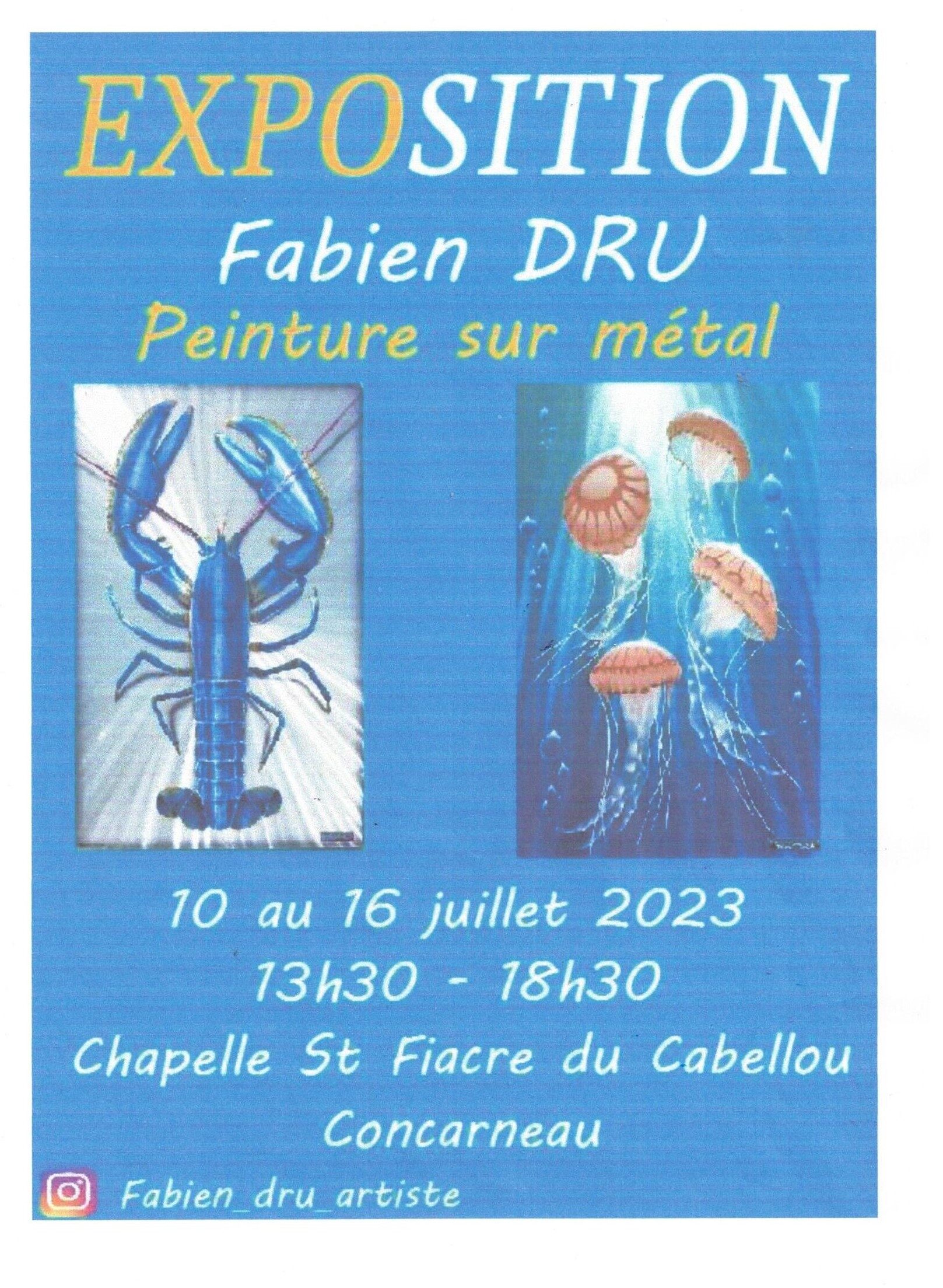 Exposition – Fabien Dru, Peinture sur métal