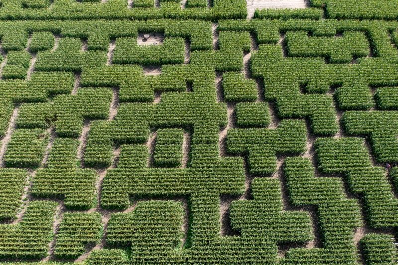 Pop Corn Labyrinthe Quimper (Ploneour Lanvern)
