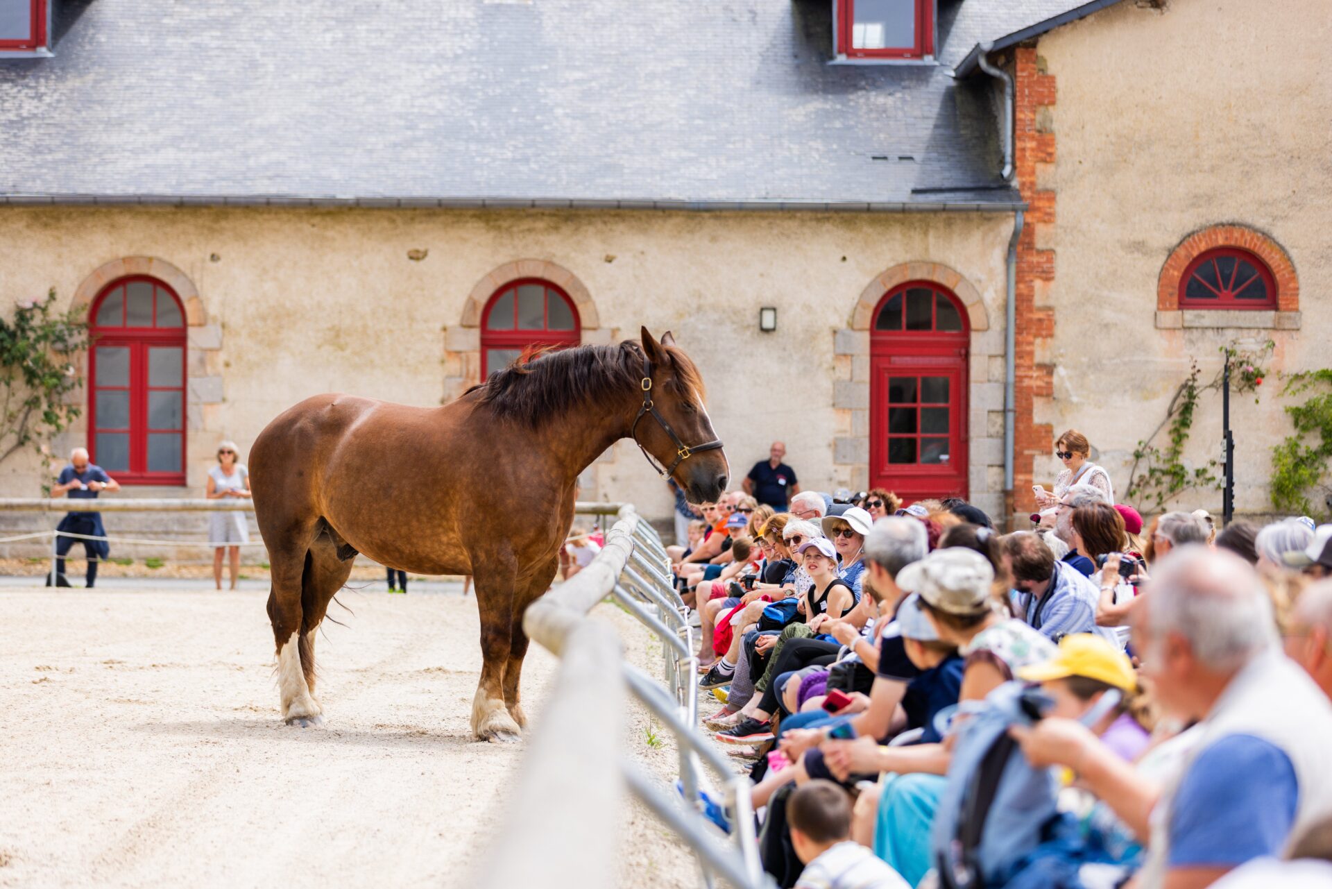 Haras National d’Hennebont