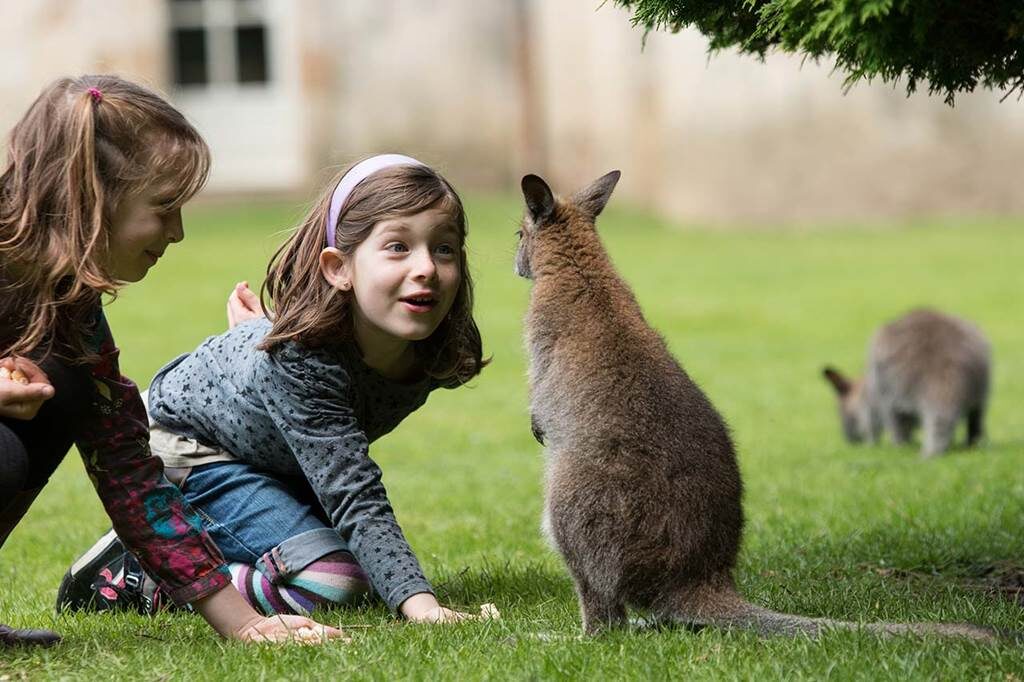 Branféré, parc animalier & botanique et Parcabout®